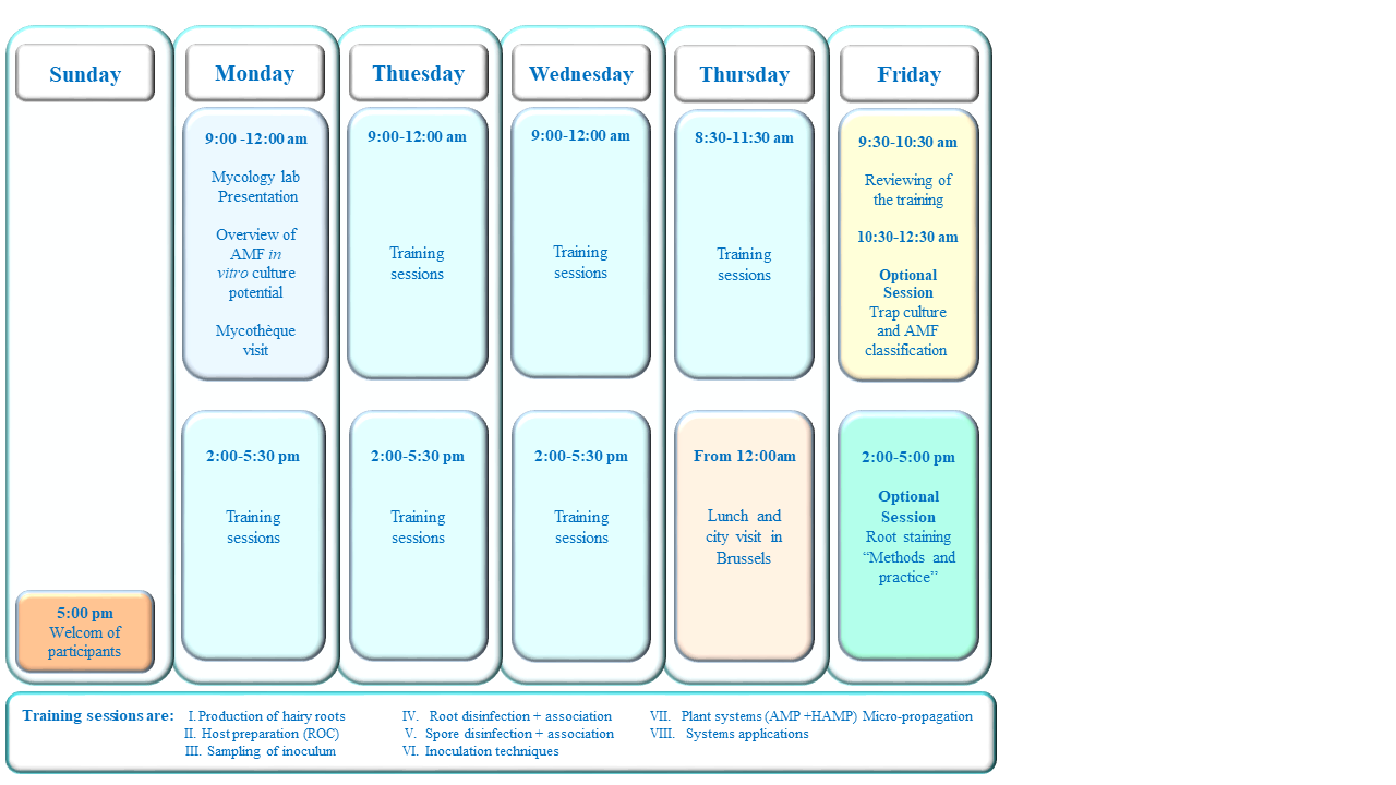 Schedule